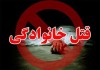 اخبار حوادث | یک جنایت هولناک در مصر | خودکشی یک زن پس از سلاخی فرزندانش | ویدئو